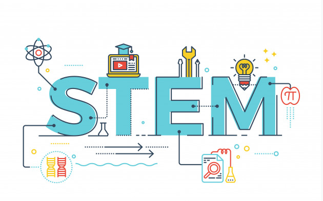 What is the role of Technology and Engineering in STEM Education