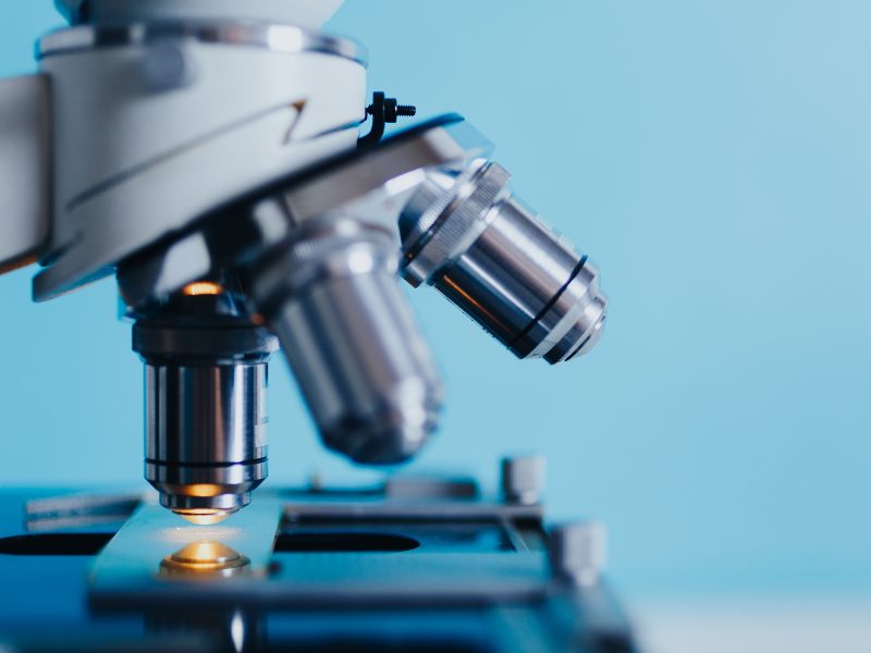 NCERT Class 5 Science