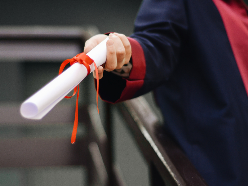 NTSE scholarship