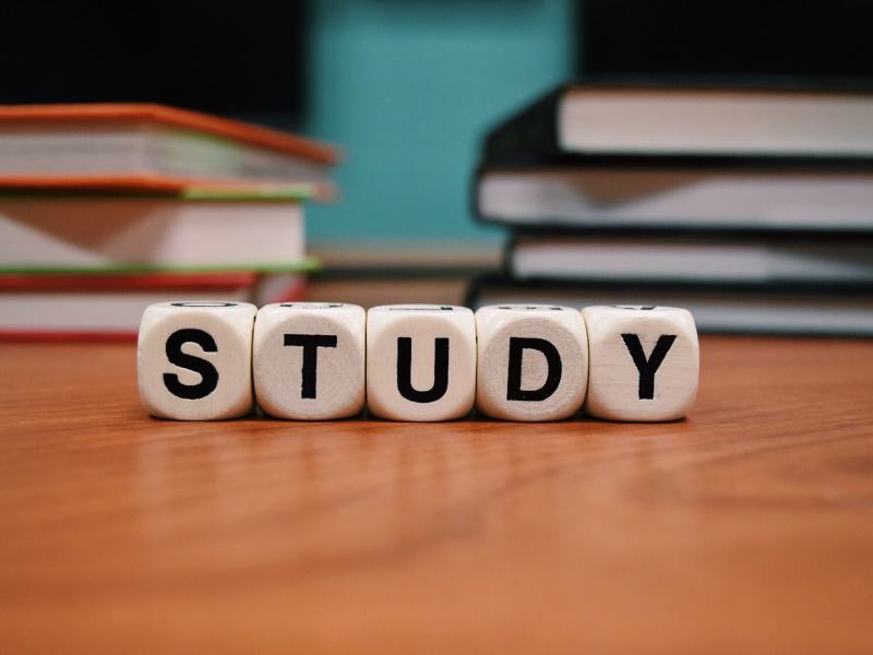 NTSE Sample Papers for Class 10